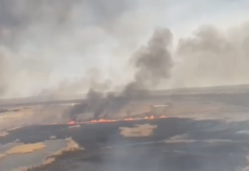 Балқаштағы қамыс өртін сөндіру жұмыстары жалғасуда