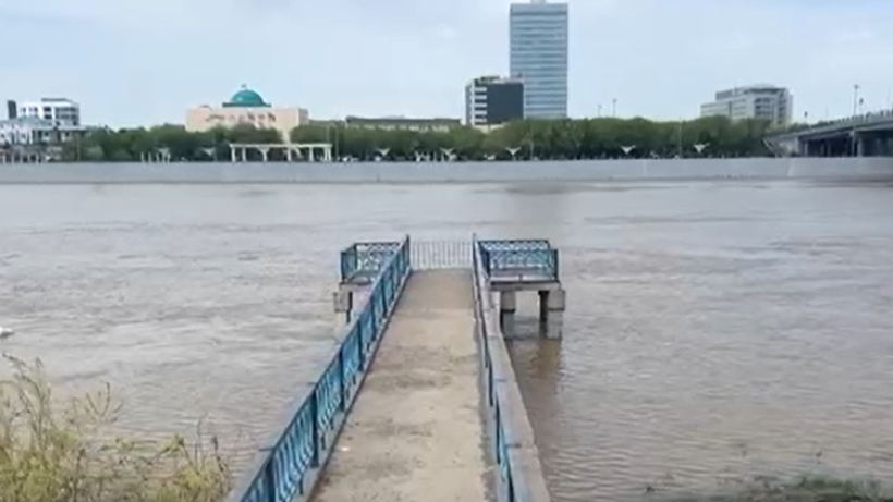  Видеодан кадр 