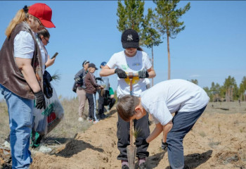 Масштабная акция по высадке саженцев прошла в Абайской области