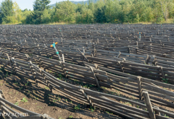 Көктемгі дала жұмыстарына қосымша 400 миллиард теңгеге дейін қаражат тартылады