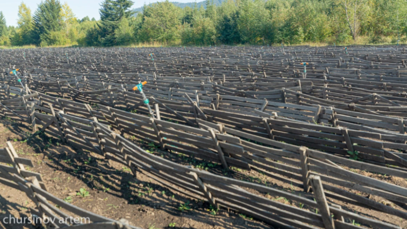  ©El.kz/Артем ЧУРСИНОВ 