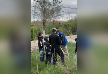 В Жезказгане высадили 100 деревьев в рамках акции 