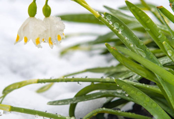 «Жаңбыр аралас қар». Алдағы үш күнге ауа райы болжамы жарияланды