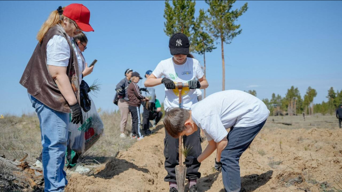  Акимат Абайской области 