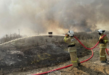 Лесной пожар в Алматинской области: заведено уголовное дело