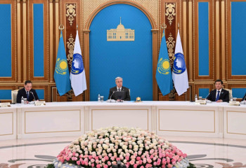 Президент поручил повысить институциональный потенциал Ассамблеи