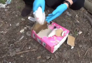 Шымкентте аса ірі көлемдегі мефедрон тасыған тұрғын ұсталды