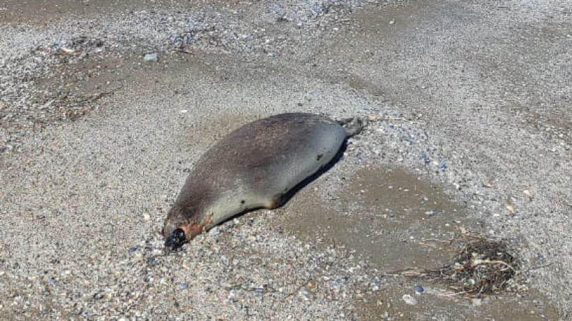  Маңғыстау облыстық экология департаменті 