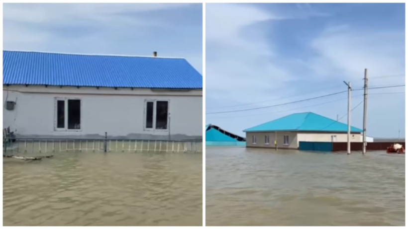  Видеодан кадр 