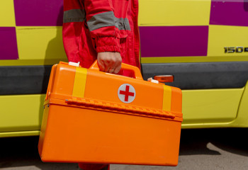 СҚО-да бір отбасының сегіз баласы иіс тиіп, уланып қалды