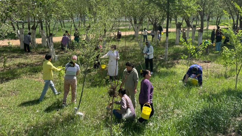  Акимат Кызылординской области 