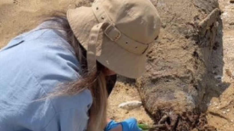  Управление рыбной инспекции по Мангистауской области 