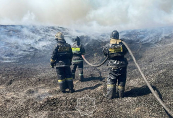 «Семей Орманы» аумағында өрт шықты
