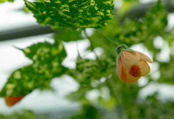 Почему днем жарко, а ночью холодно — ответ ученых об изменениях климата