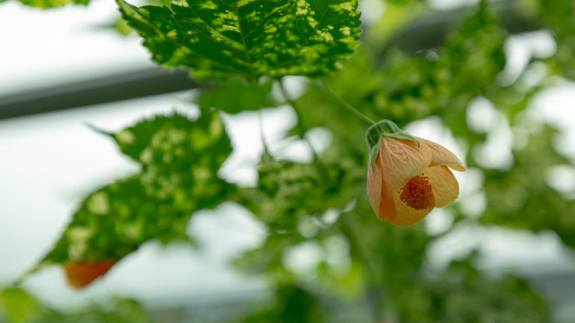  © El.kz/Артем ЧУРСИНОВ 