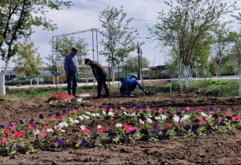 В Кызылординской области продолжается неделя «Жасыл аймақ»