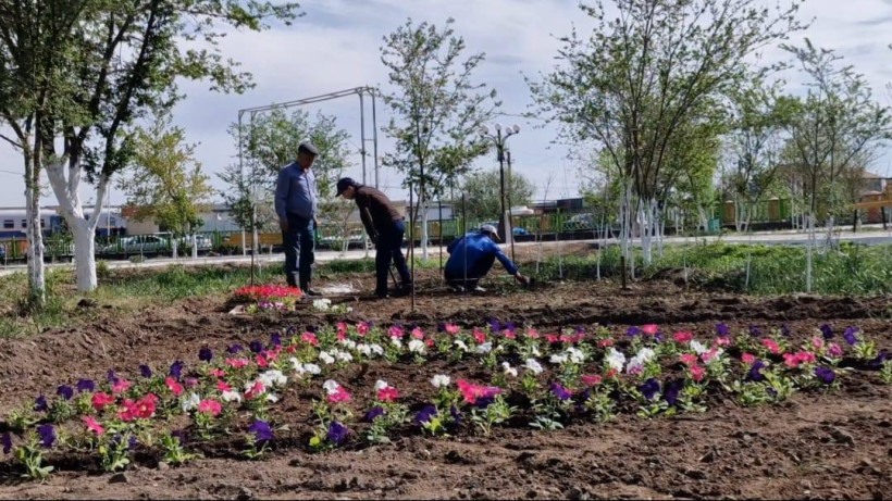  Қызылорда облысы әкімдігі 