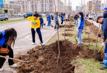 Сотни груш вырастут на пешеходной аллее в Астане