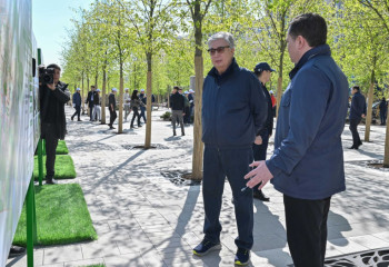 Мемлекет басшысына Астананы көгалдандыру жоспары таныстырылды