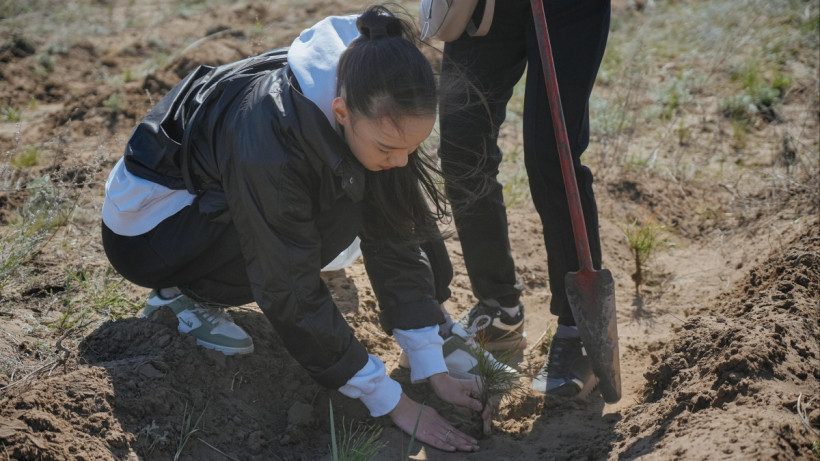  © Пресс-служба акимата области Абай 