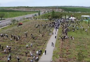 Алматыда жаңа алма бақтар пайда болды