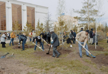 «Жасыл аймақ»: мұражай аумағына 350-ден астам ағаш отырғызылды