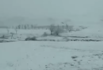 Жамбыл облысында қар жауды