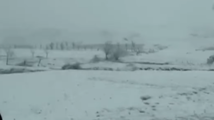  Видеодан кадр 