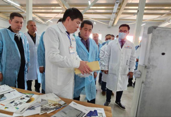 В Шымкенте построят самый крупный тепличный комплекс нового формата для выращивания томатов