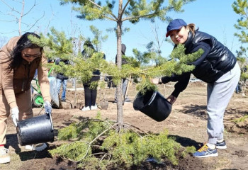 К 10-летию Комитета государственных доходов в столице создали аллею
