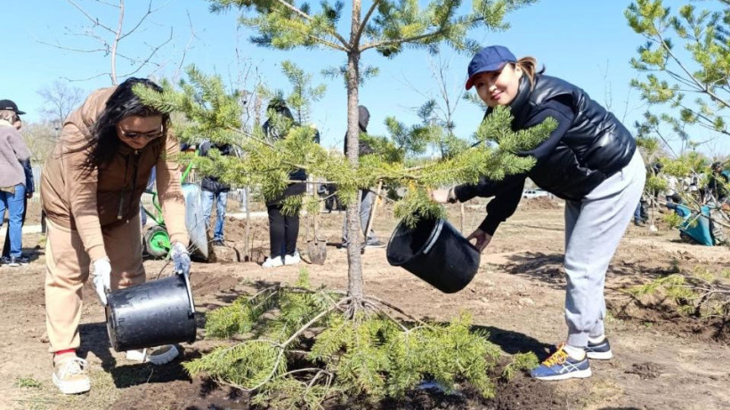  © Комитет государственных доходов 