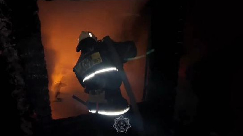  Видеодан кадр 