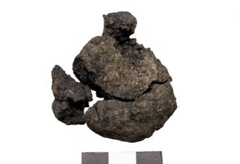 Самый древний в мире хлеб обнаружили ученые в Турции