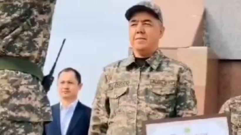  Видеодан кадр 