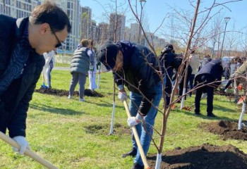 «Таза Қазақстан»: Дәрігерлер 23 мыңнан астам ағаш екті