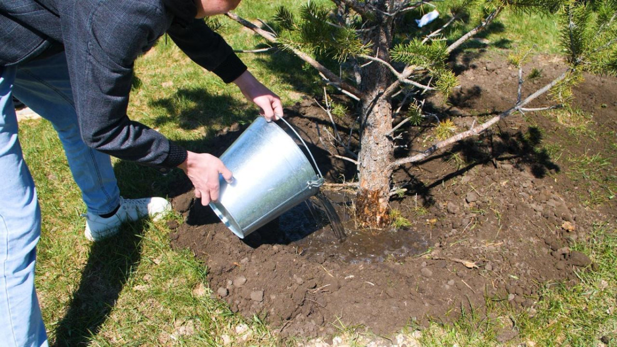  © Пресс-служба акимата Астаны 