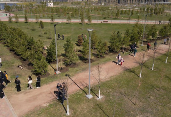 Астанада қалалық мәслихат депутаттары ағаш отырғызды