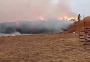 250 тонн сена горит в Атырауской области