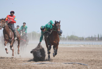 Жамбыл облысы көкпардан Қазақстанның 14 дүркін чемпионы атанды