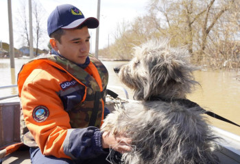 Информация о паводковой ситуации от МЧС РК на понедельник, 29 апреля