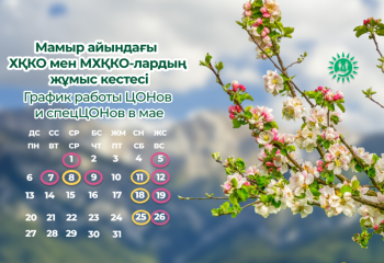 Как будут работать ЦОНы и спецЦОНы в праздничные дни