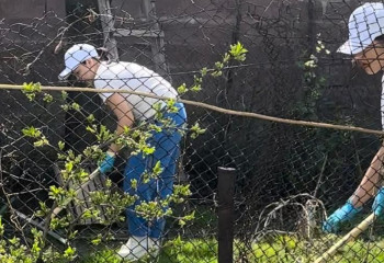 «Помоги ближнему»: алматинцы навели порядок во дворах ветеранов, одиноких пенсионеров