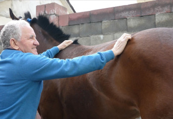 Благодаря победам Кабирхана у Казахстана появилось много возможностей - ирландский жокей-чемпион