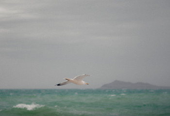 Школьники Казахстана смогут выразить экологические проблемы через искусство