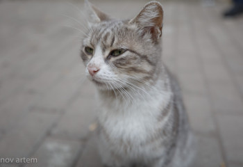 Қар, жел: 1 мамырға арналған ауа райы болжамы