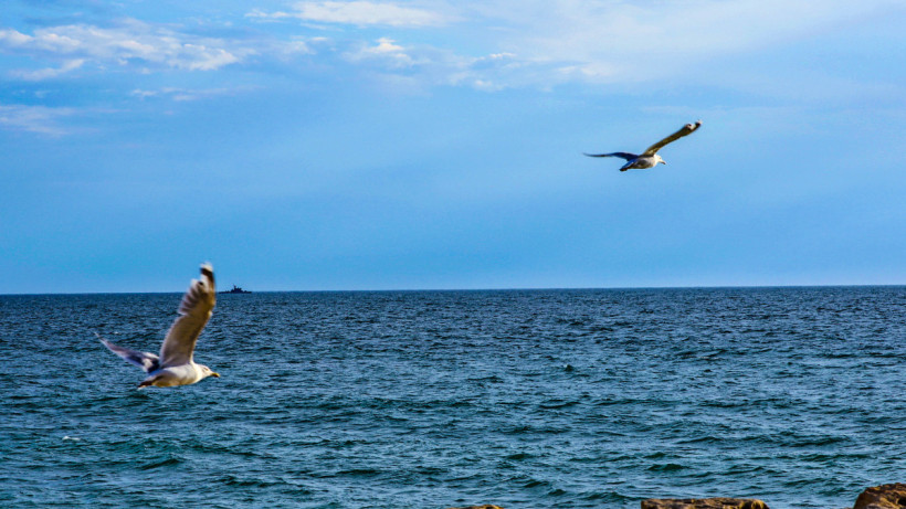  ©El.kz/ Виктор ФЕДЮНИН 