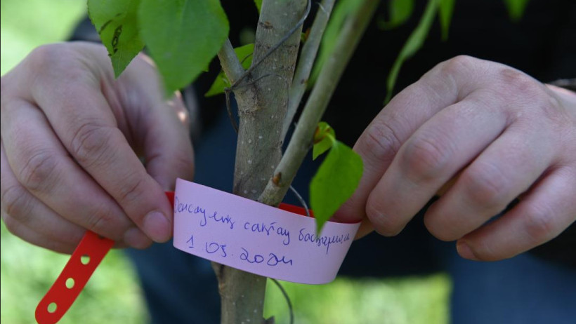 © акимат Актюбинской области 
