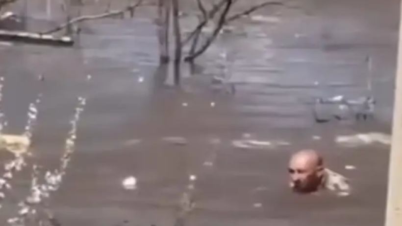  Видеодан кадр 