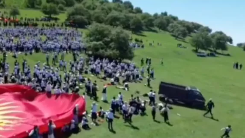  Видеодан кадр 