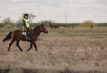 Қазақстанда ұлттық спорт туралы заң жобасы әзірленеді